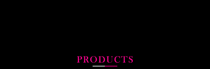 アブソリュート・デュオ