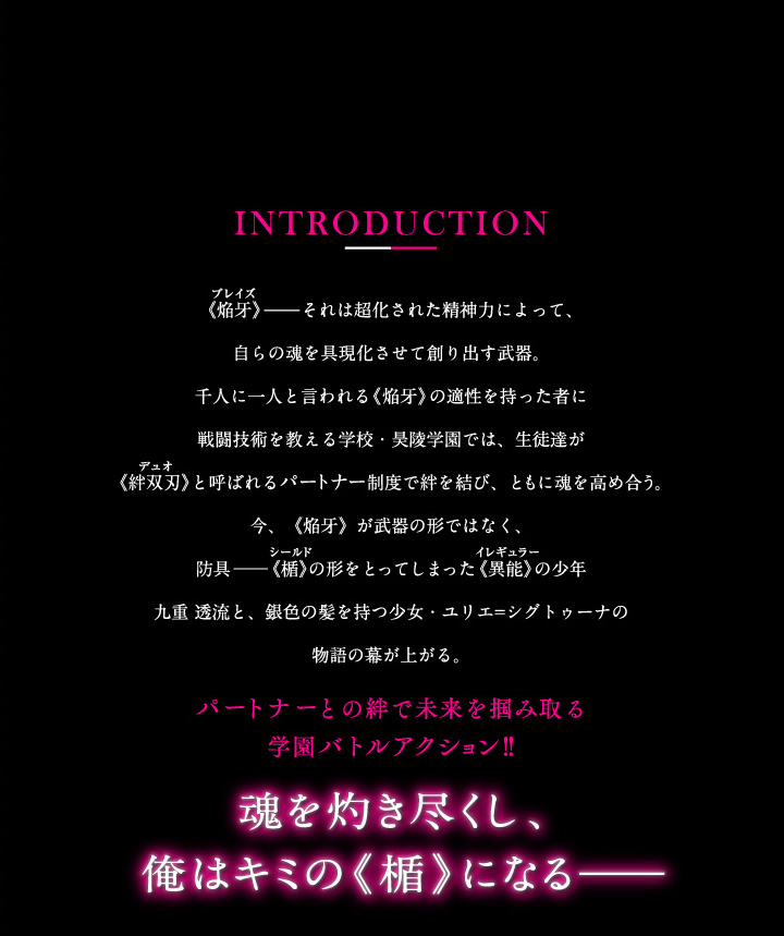 アブソリュート・デュオ